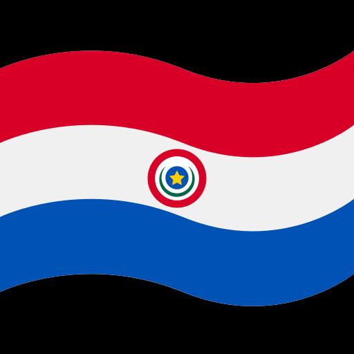 Paraguay Flag